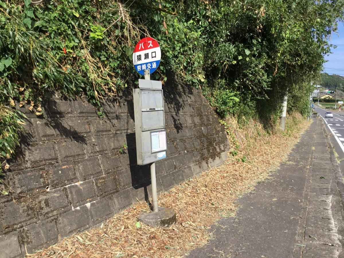 全景です。