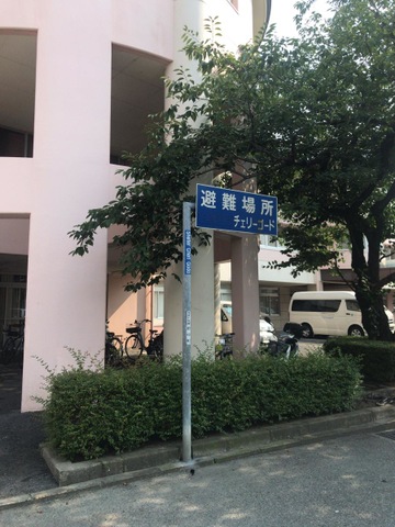 チェリーゴード