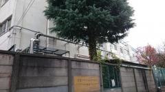 京陽小学校