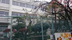 京陽小学校