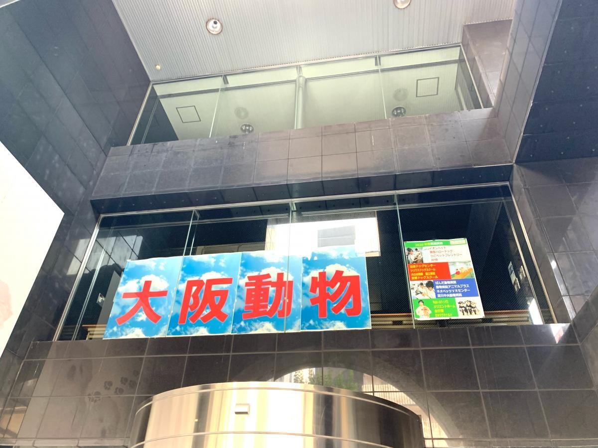 立志舎大阪動物専門学校