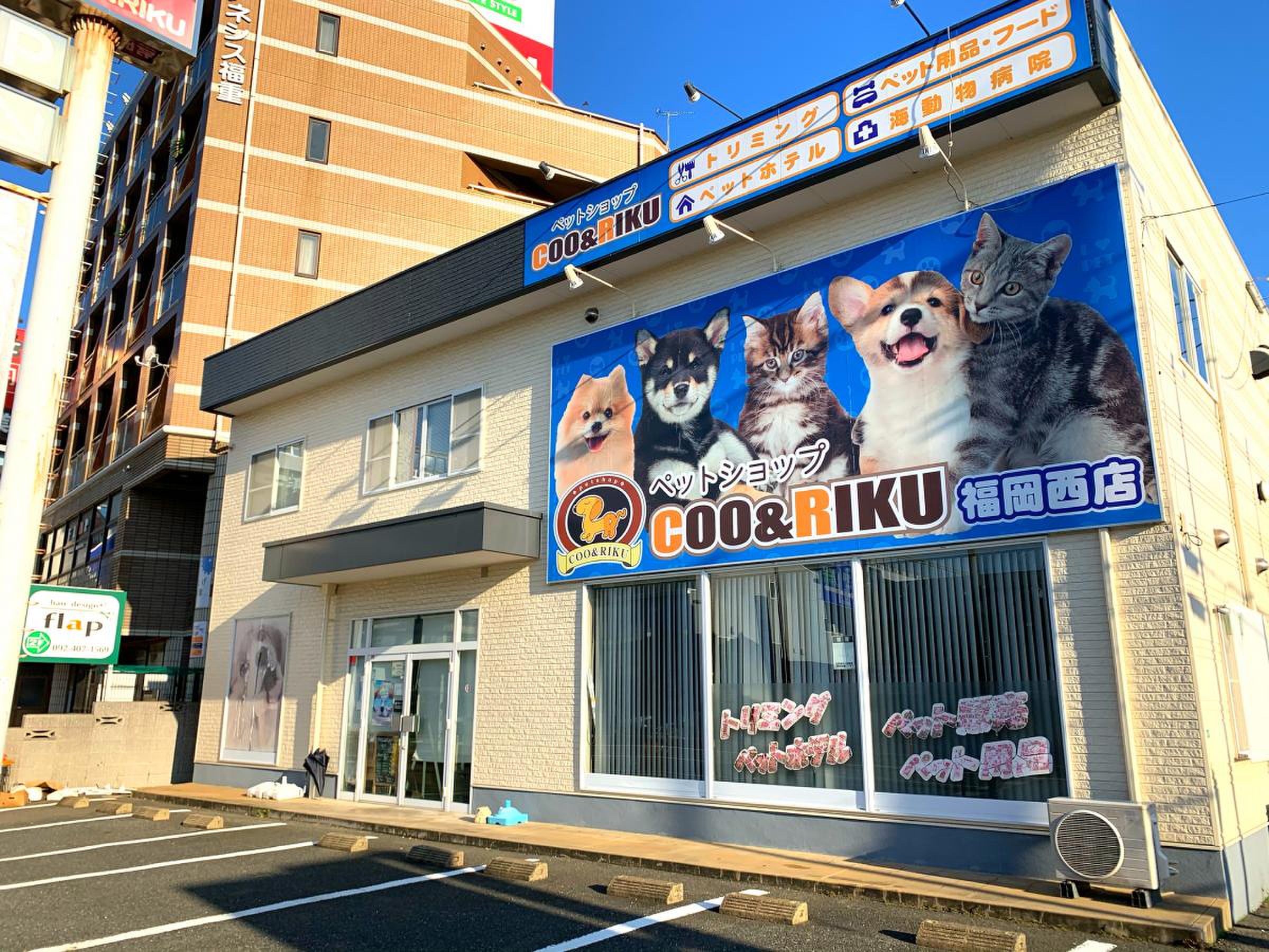 当時のメディア報道・掲載写真