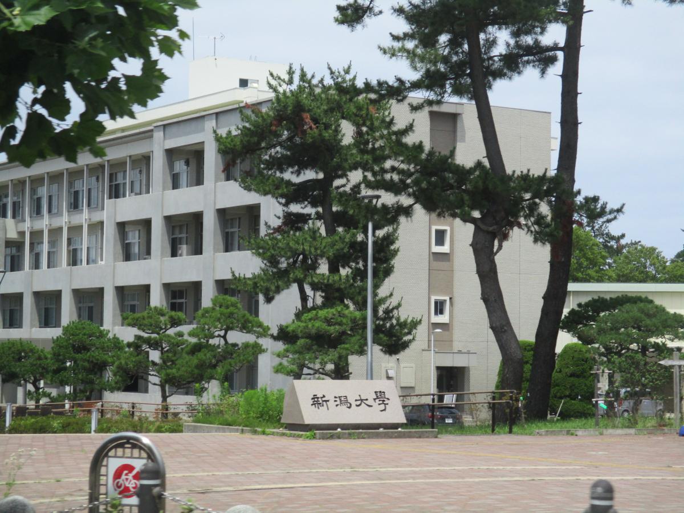 当時のメディア報道・掲載写真