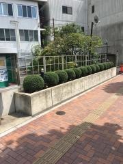 カトリック上野教会