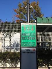 「国見ケ丘三丁目福祉大野球場前」バス停留所