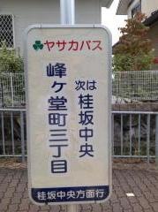 「峰ケ堂町三丁目」バス停留所