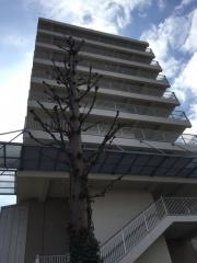 中道高齢者介護支援センター