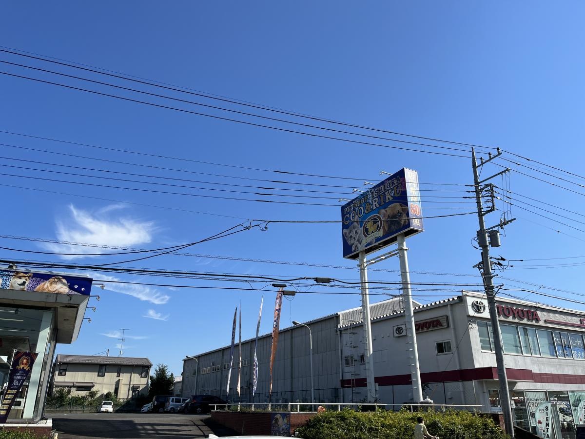 リーズナブル
