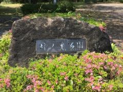 蜂ノ巣公園