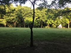 八千代台近隣公園