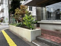 宮崎レディスカレッジ