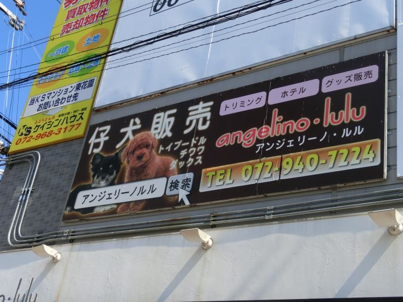 アンジェリーノ・ルル