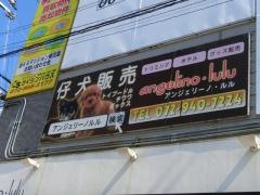 アンジェリーノ・ルル