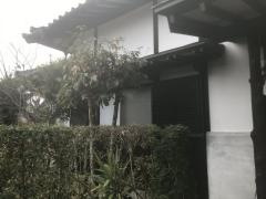 無庵
