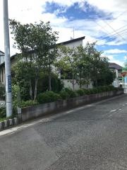 羽生栄光教会