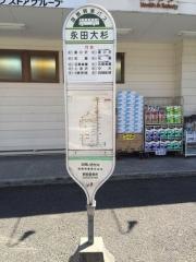 「永田大杉」バス停留所
