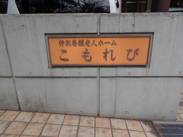 こもれび