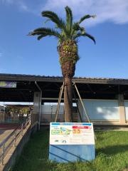 東武スーパープール