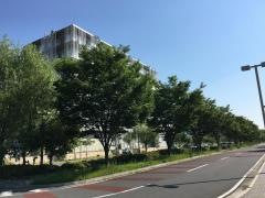 東京大学　柏キャンパス