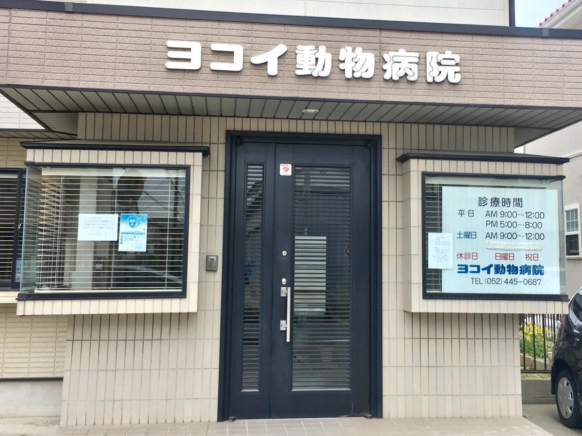 ヨコイ動物病院