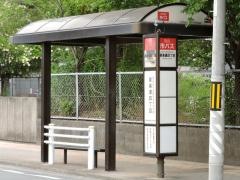 「泉楽通四丁目」バス停留所