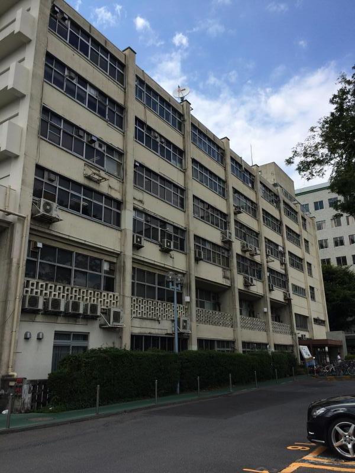 日 大 医学部