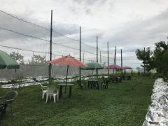 フルーツ童夢やまだ農園