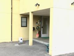 伊藤動物病院