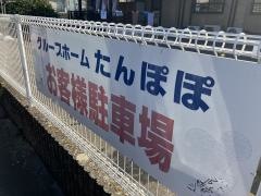 たんぽぽ
