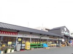 ゆめ畑　太宰府店