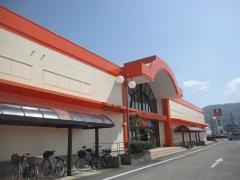 ザ・ビッグ鴨島店