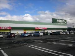 生鮮おろし