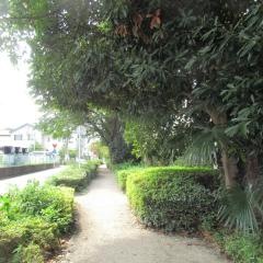 中新井緑地