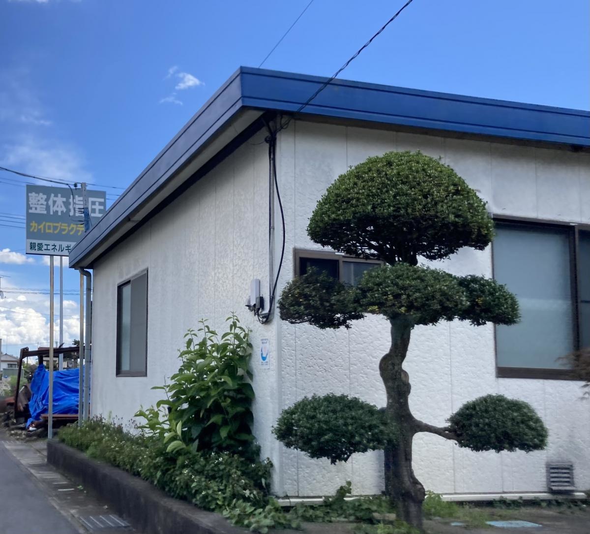 外観