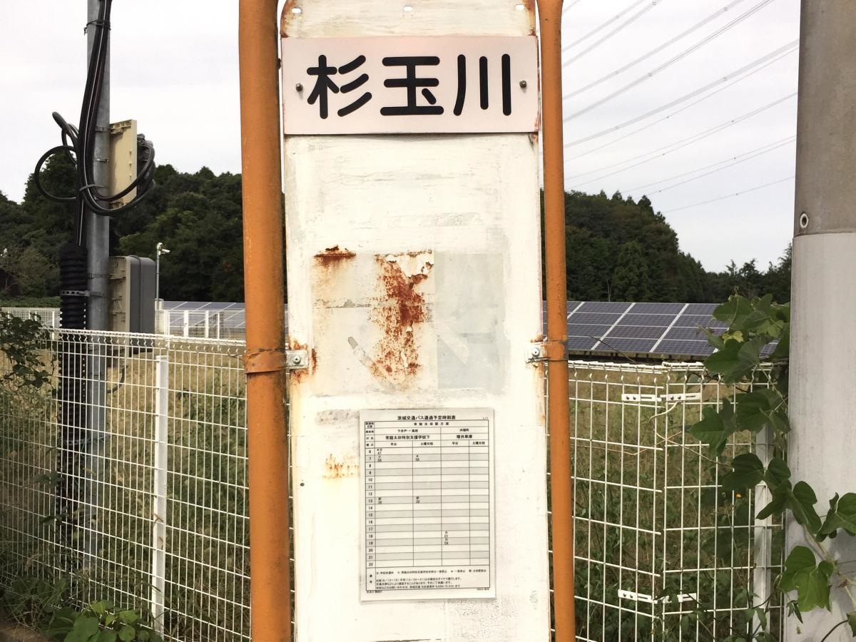杉玉川