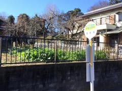 「戸塚小学校」バス停留所