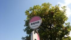 「発電所前」バス停留所