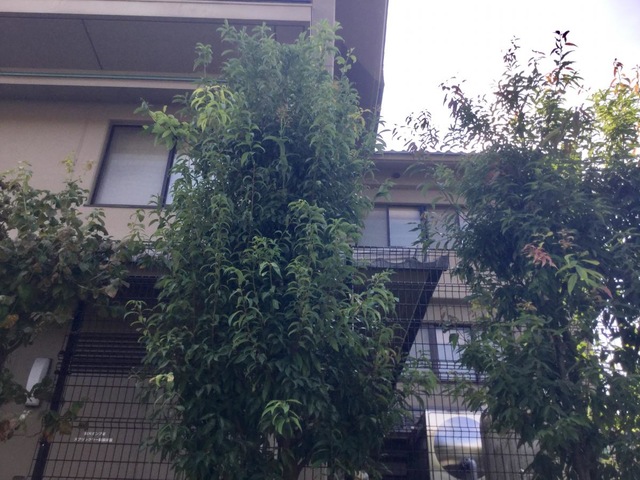 ハイリタイヤー21南山