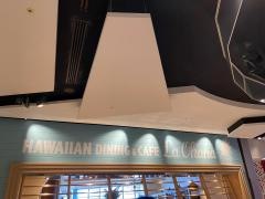ラ・オハナ　ダイバーシティ東京店