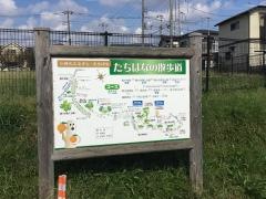 たちばな古代の丘緑地