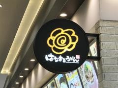 はなまるうどん　グランツリー武蔵小杉店