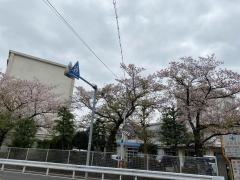 川越市立東中学校