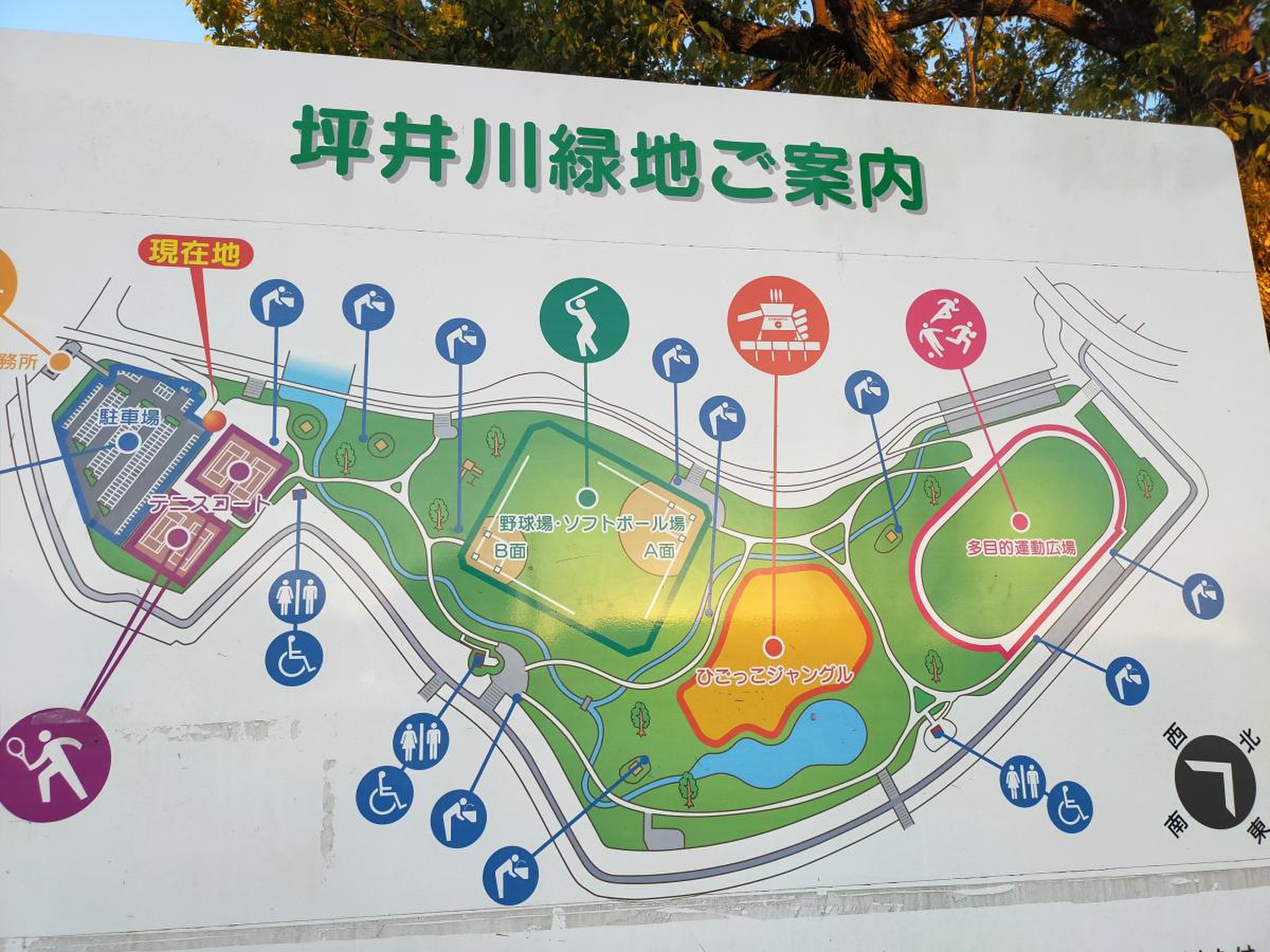 活動歴および当時の関連ビジュアル記録