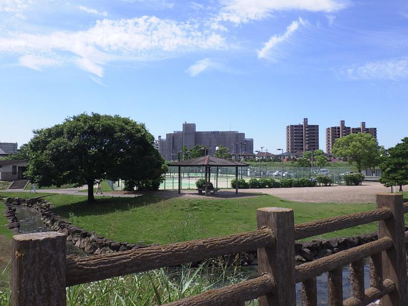 坪井 川 緑地 公園