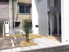 さの歯科医院