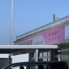 かとう犬猫病院