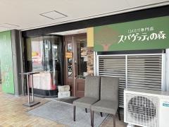 スパゲッティの森