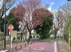 関町南千川緑地