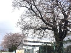 瑞穂市立穂積北中学校