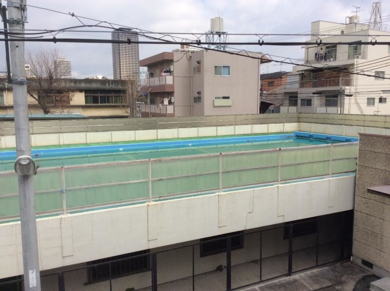 プール